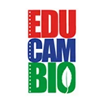 Educambio